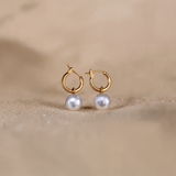 Marina Pearl Drop Gold Earrings